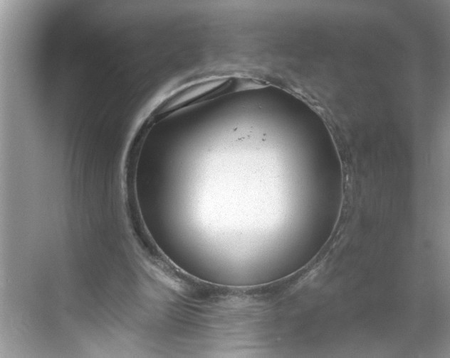 X0000068730246200605121525