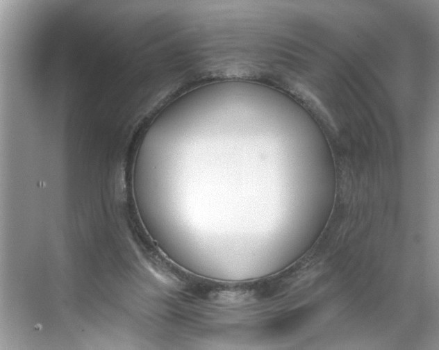 X0000068730251200605121525