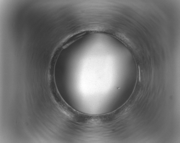 X0000068730252200605121525