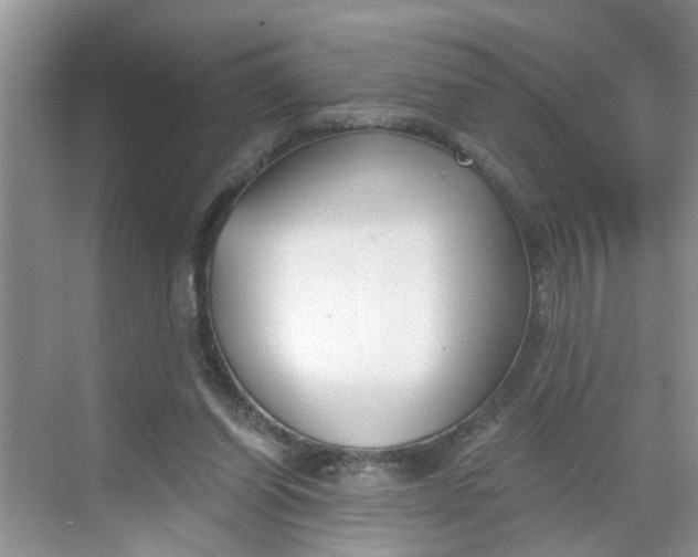 X0000068730254200605121525