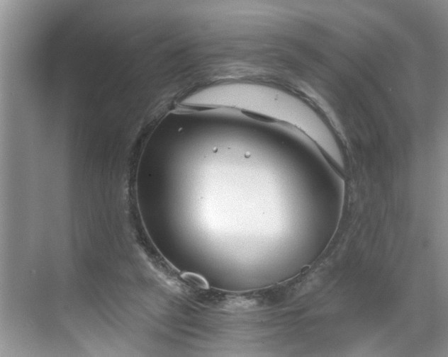 X0000068730257200605121525