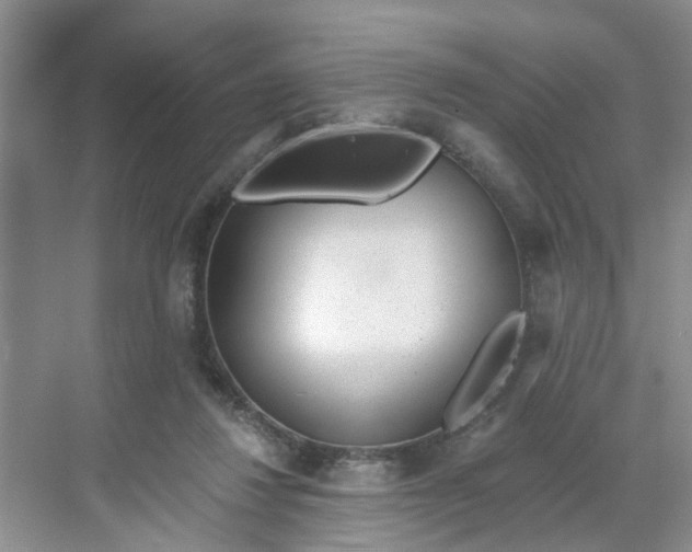 X0000068730260200605121525