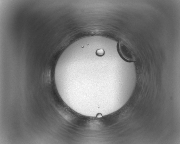 X0000068730262200605121525