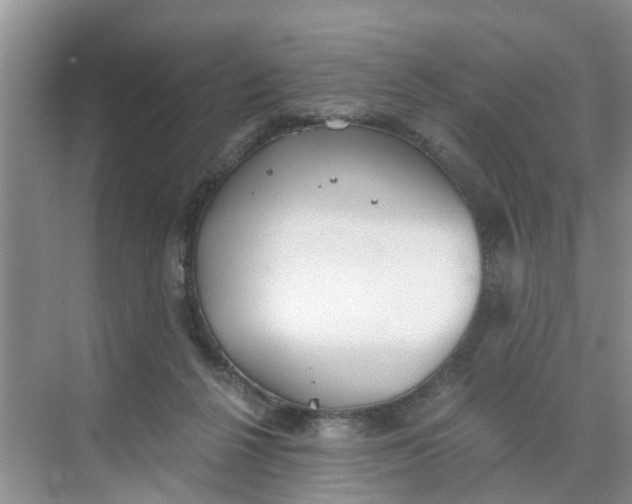 X0000068730264200605121526