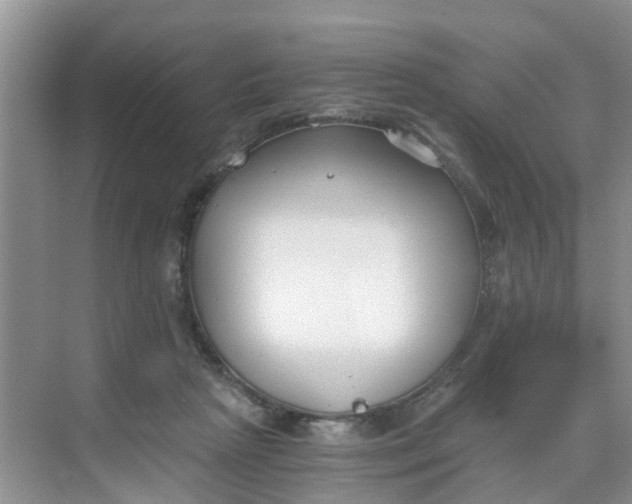 X0000068730265200605121526