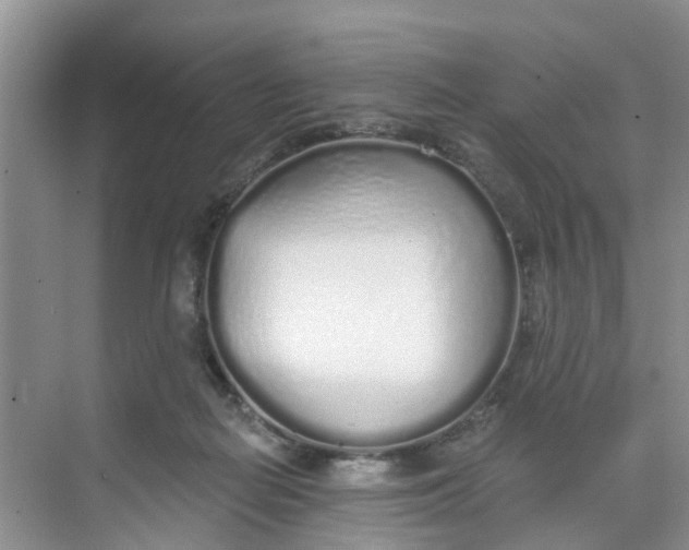 X0000068730266200605121526