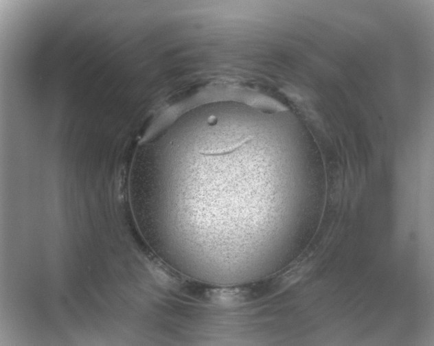 X0000068730273200605121526