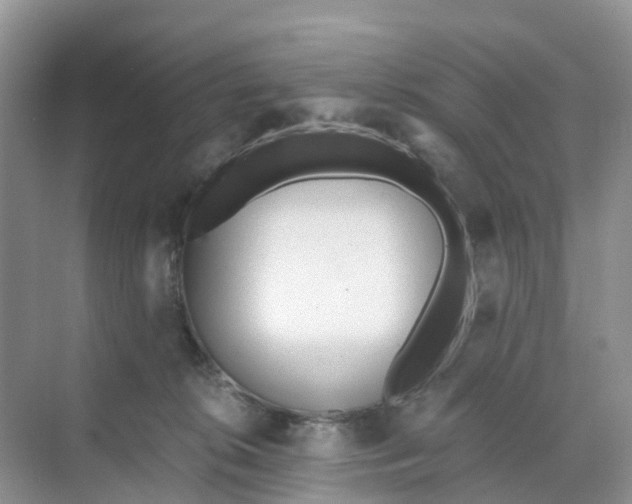 X0000068730276200605121526