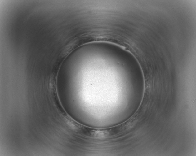 X0000068730277200605121526