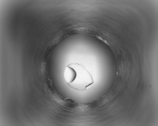 X0000068730278200605121526