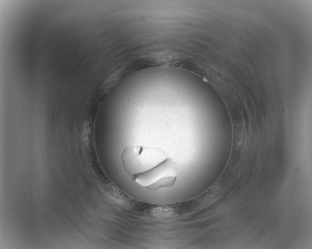 X0000068730279200605121526