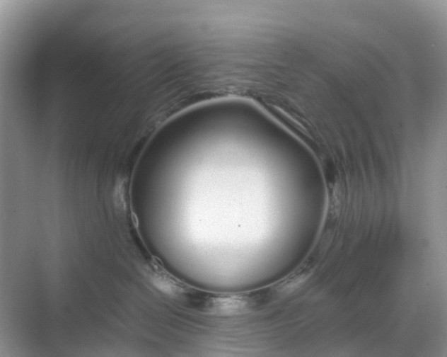 X0000068730286200605121526