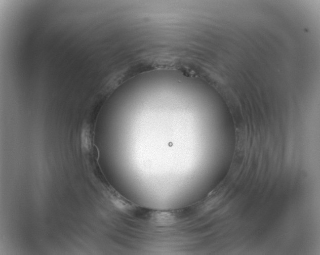 X0000068730287200605121526