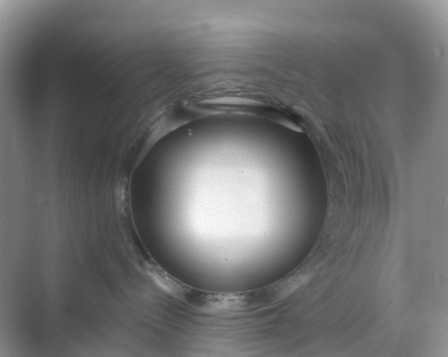 X0000068730288200605121526