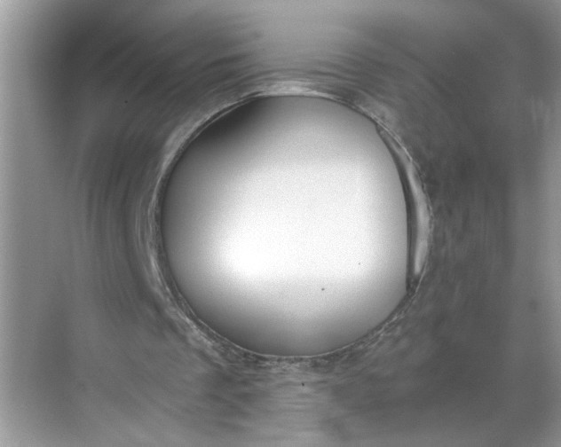 X0000068730289200605121525