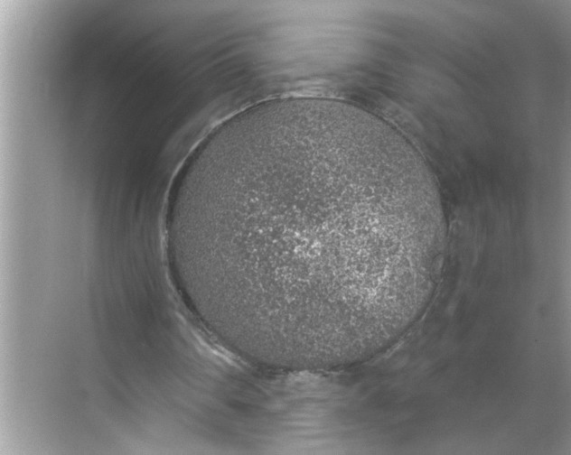 X0000068730290200605121525