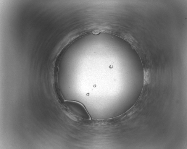 X0000068730291200605121525