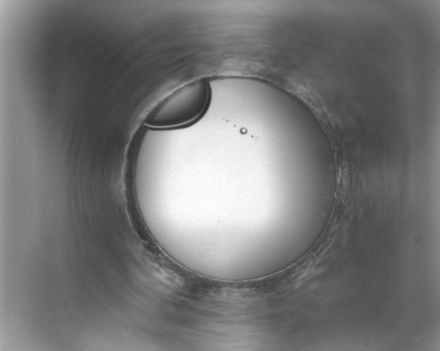 X0000068730292200605121525