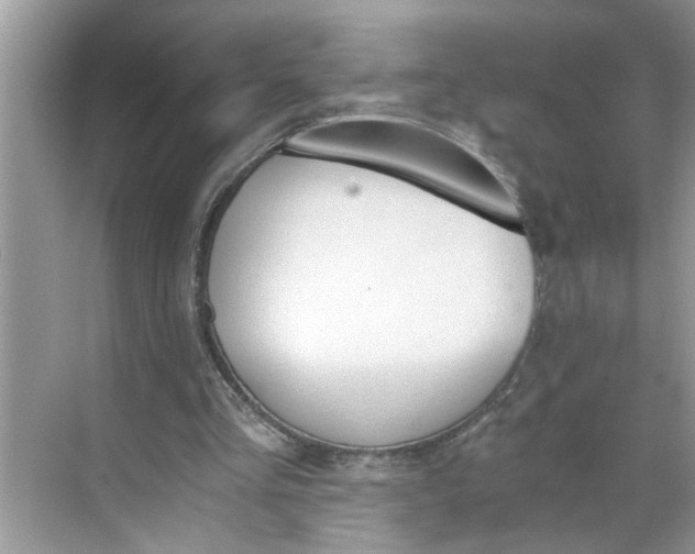 X0000068730293200605121525