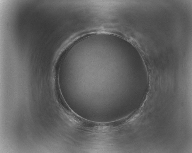 X0000068730295200605121525