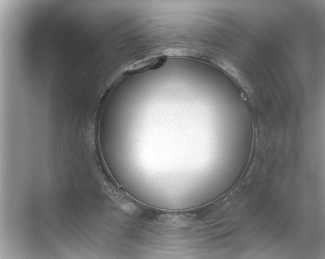 X0000068730297200605121525