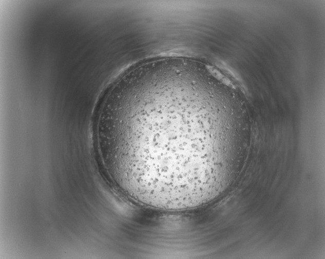 X0000068730298200605121525