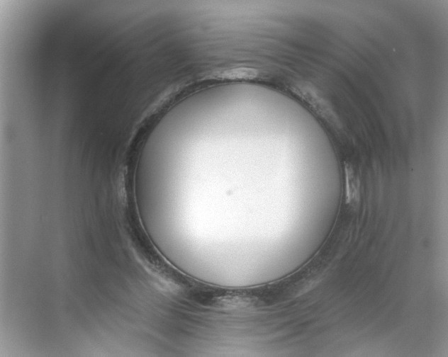 X0000068730300200605121525