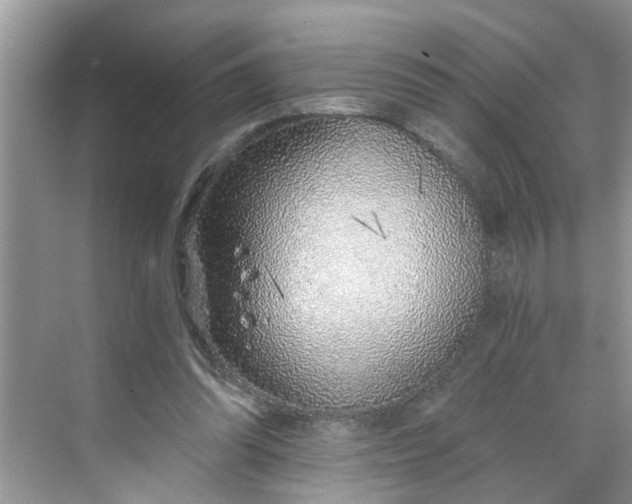 X0000068730302200605121525