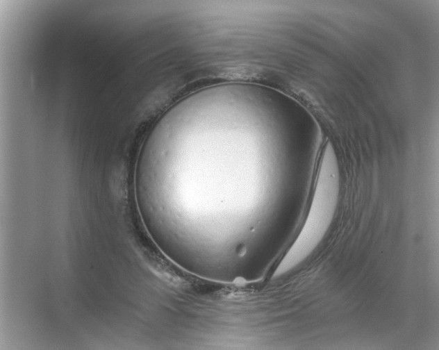 X0000068730303200605121525