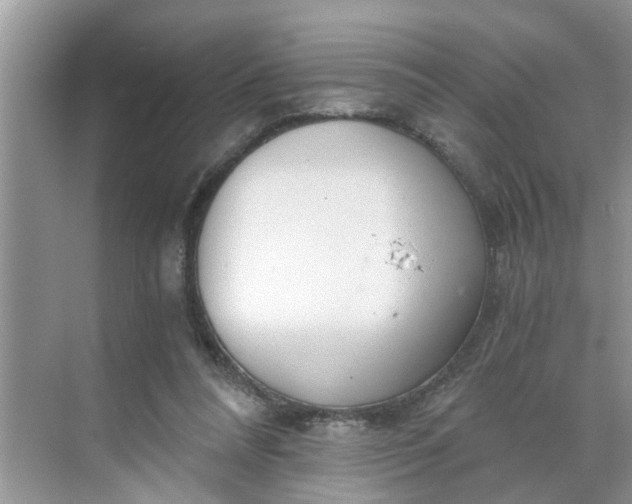 X0000068730304200605121525