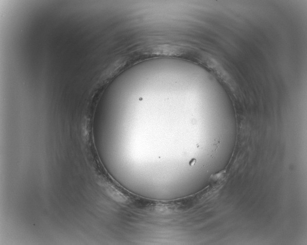 X0000068730305200605121525