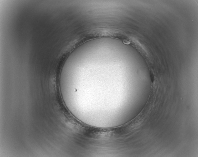 X0000068730306200605121525