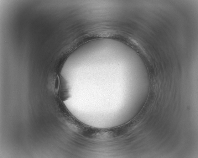 X0000068730307200605121525