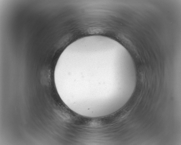 X0000068730308200605121525