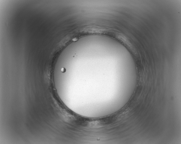 X0000068730309200605121525