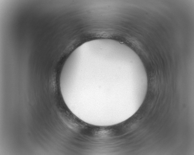 X0000068730312200605121525