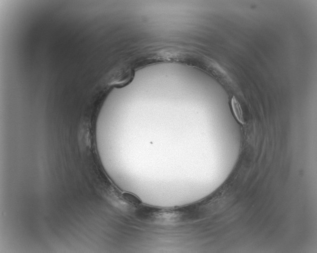 X0000068730313200605121525