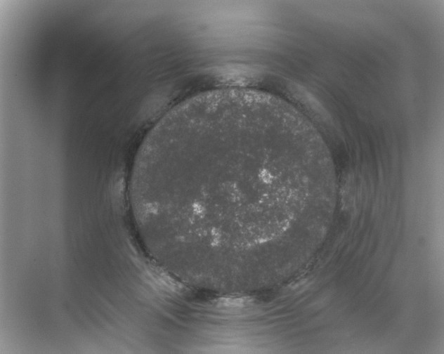 X0000068730314200605121525