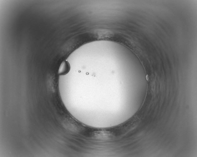 X0000068730316200605121525