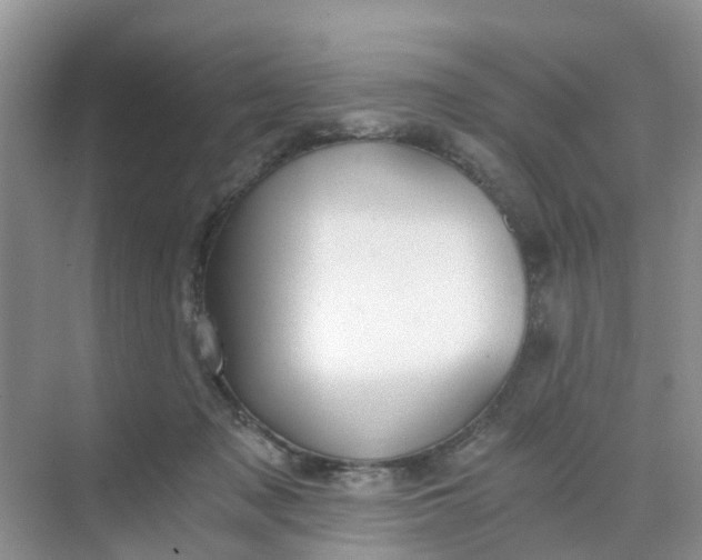 X0000068730317200605121525