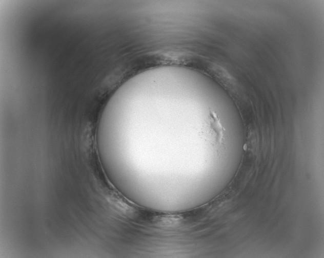 X0000068730318200605121525