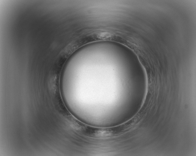 X0000068730319200605121525