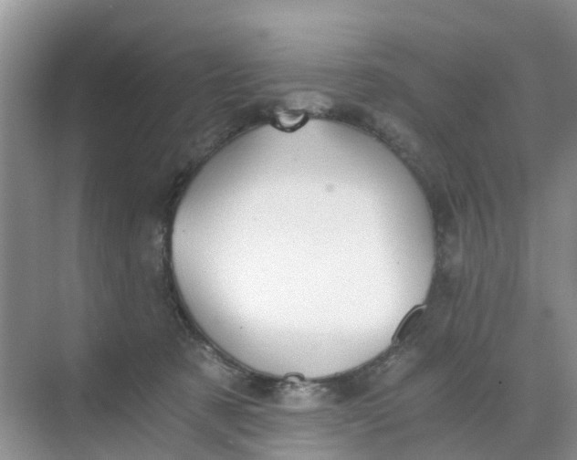 X0000068730321200605121525