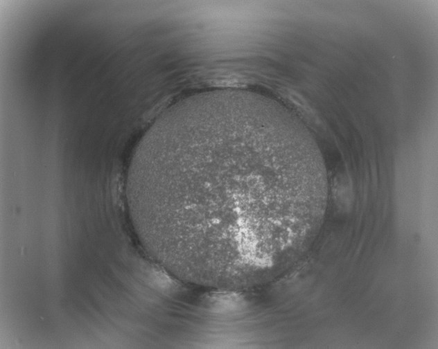 X0000068730322200605121525