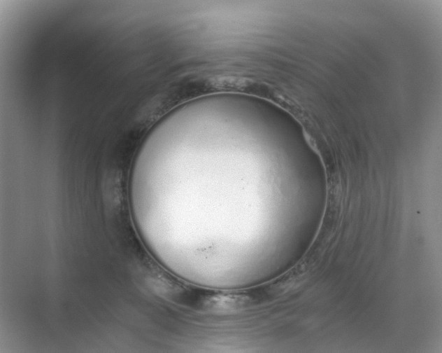 X0000068730323200605121525