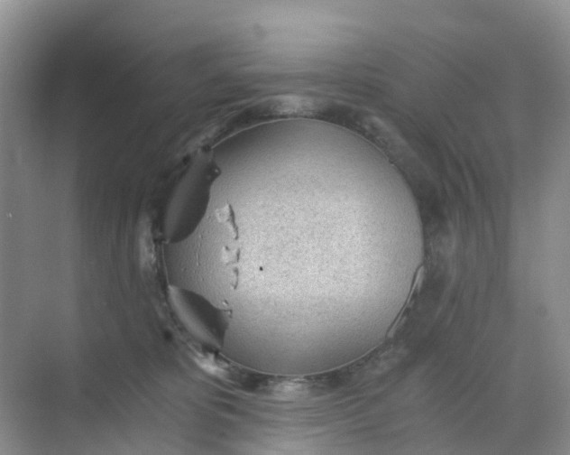 X0000068730325200605121524