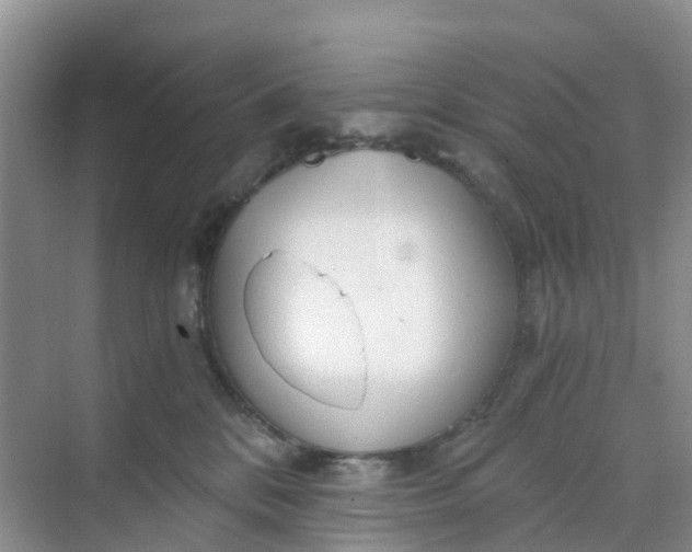 X0000068730328200605121524