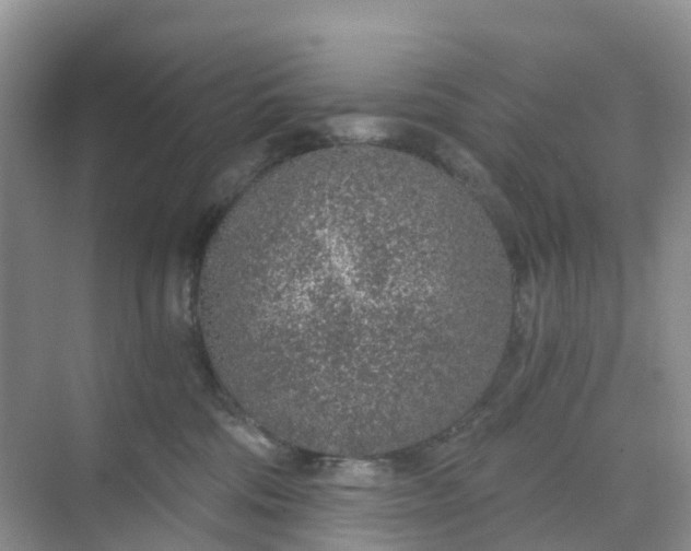 X0000068730330200605121524