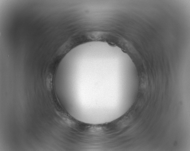 X0000068730332200605121524