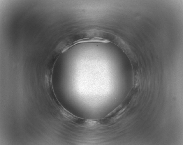 X0000068730333200605121524